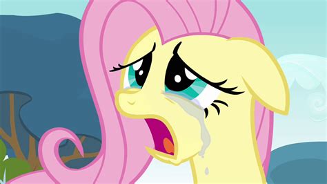 pictures of fluttershy from my little pony|fluttershy crying pictures.